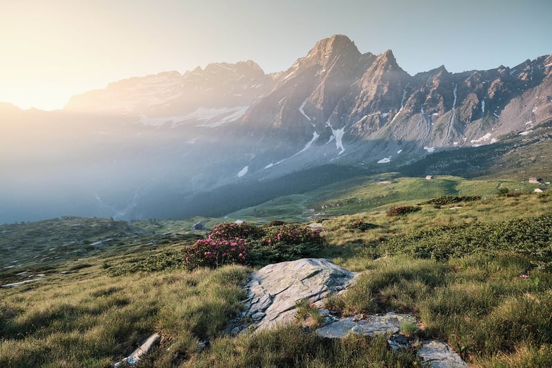 Mountains