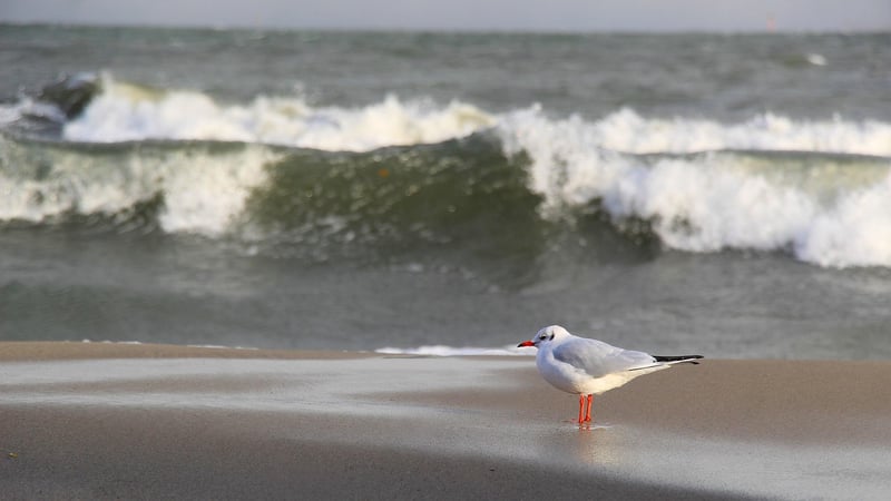 Coastal Areas